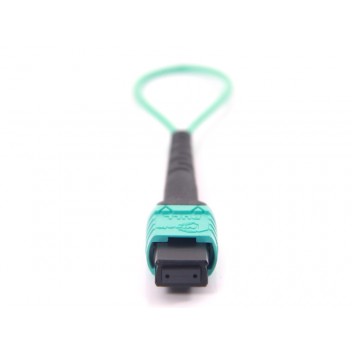 12-Core MPO OM3 Loopback Cable